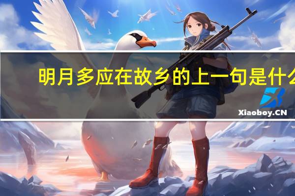 明月多应在故乡的上一句是什么