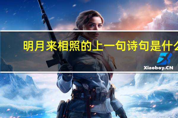 明月来相照的上一句诗句是什么（明月来相照的上一句是什么）