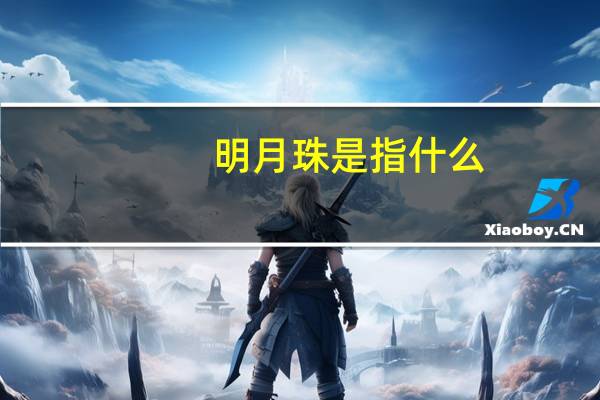 明月珠是指什么
