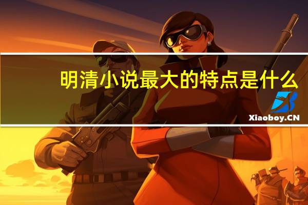 明清小说最大的特点是什么