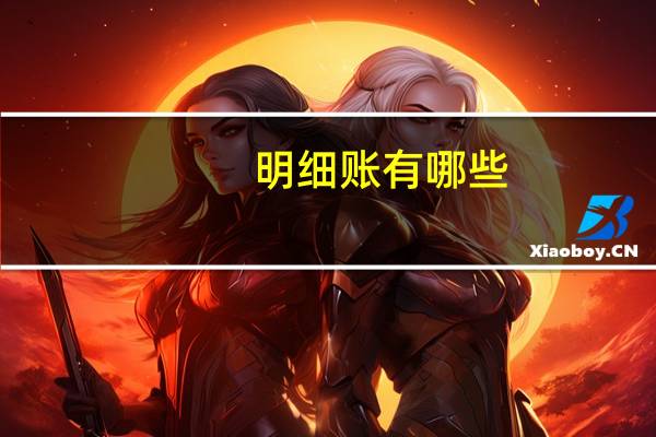 明细账有哪些（明细账）