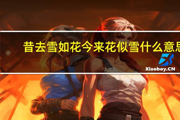 昔去雪如花今来花似雪什么意思
