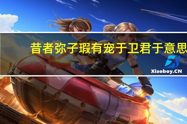 昔者弥子瑕有宠于卫君于意思