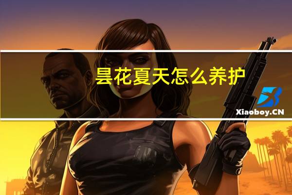 昙花夏天怎么养护