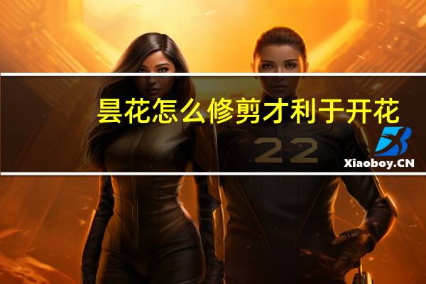 昙花怎么修剪才利于开花