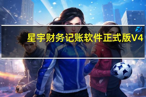 星宇财务记账软件正式版 V4.27 免费版(星宇财务记账软件正式版 V4.27 免费版功能简介)