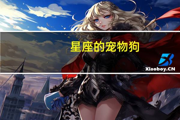星座的宠物狗