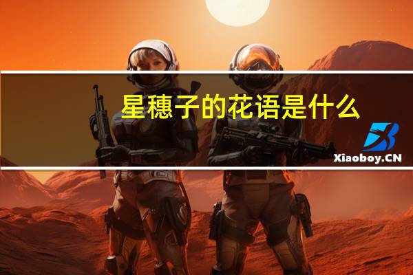 星穗子的花语是什么