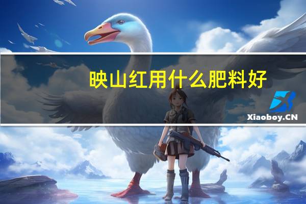 映山红用什么肥料好