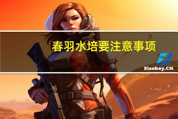 春羽水培要注意事项