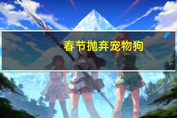 春节抛弃宠物狗