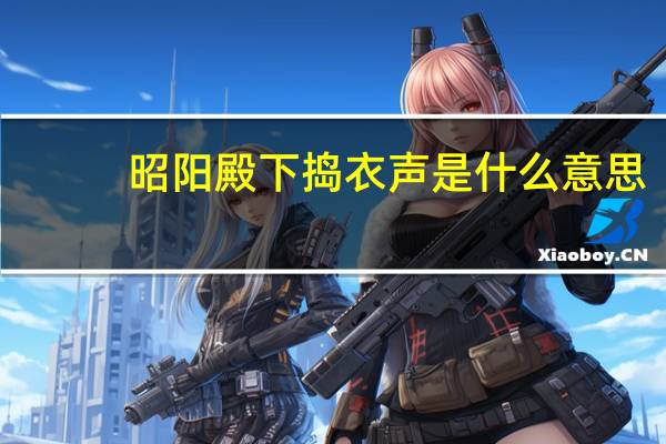 昭阳殿下捣衣声是什么意思