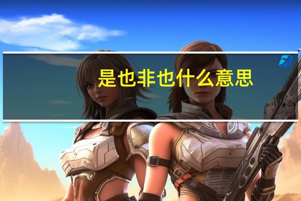 是也非也什么意思