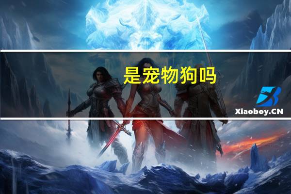 是宠物狗吗