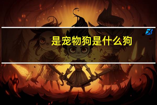 是宠物狗是什么狗