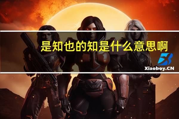 是知也的知是什么意思啊