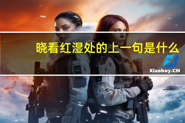 晓看红湿处的上一句是什么