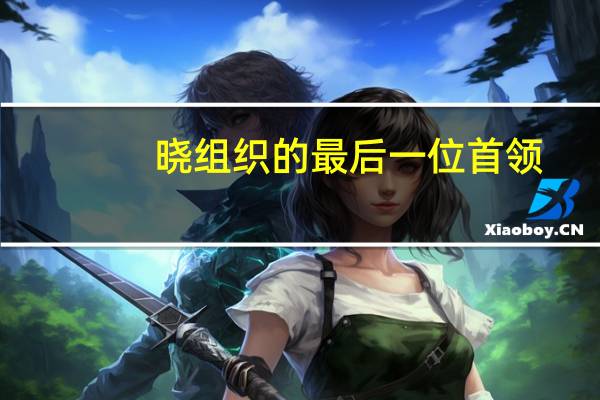 晓组织的最后一位首领