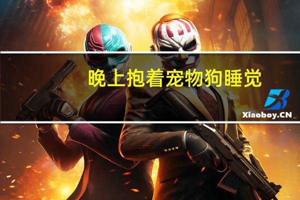 晚上抱着宠物狗睡觉