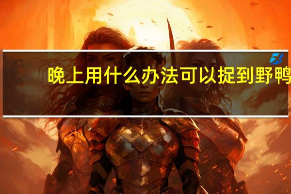 晚上用什么办法可以捉到野鸭