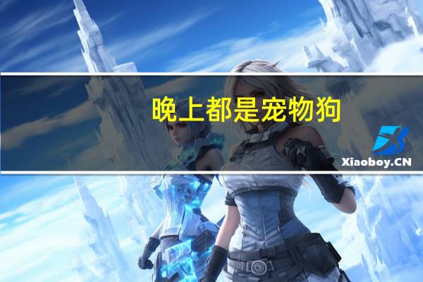 晚上都是宠物狗