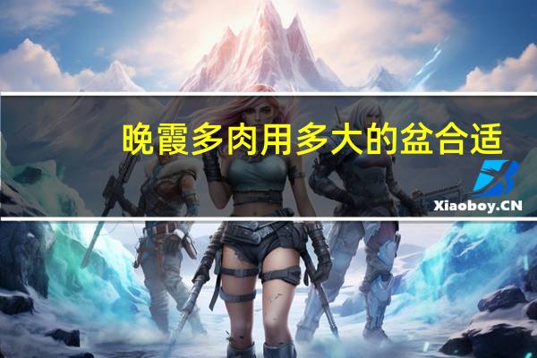 晚霞多肉用多大的盆合适