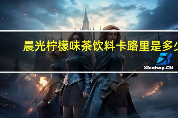 晨光 柠檬味茶饮料卡路里是多少