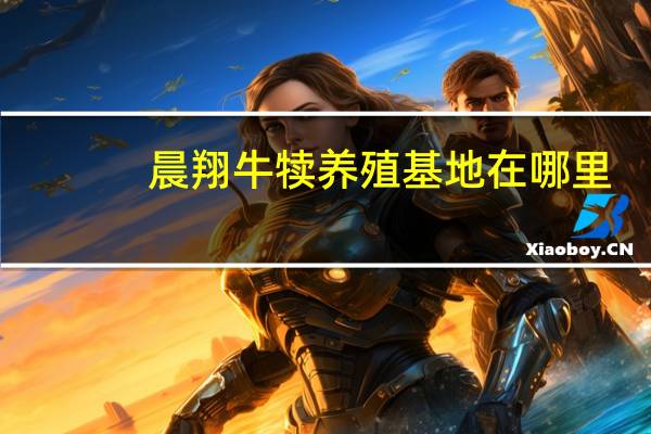 晨翔牛犊养殖基地在哪里（晨翔）