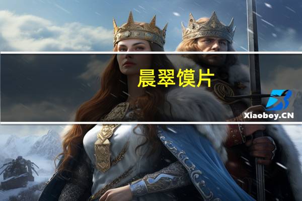 晨翠 馍片(五香风味)的热量是多少