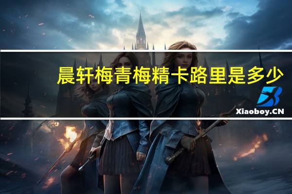 晨轩梅青梅精卡路里是多少