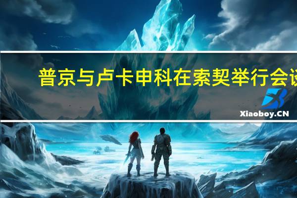 普京与卢卡申科在索契举行会谈