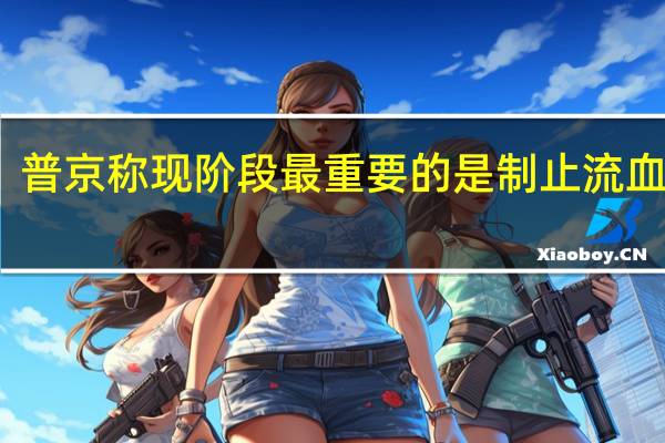 普京称现阶段最重要的是制止流血事件