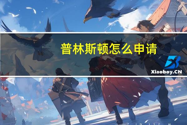 普林斯顿怎么申请