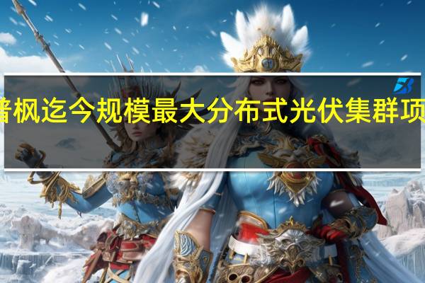 普枫迄今规模最大分布式光伏集群项目投产