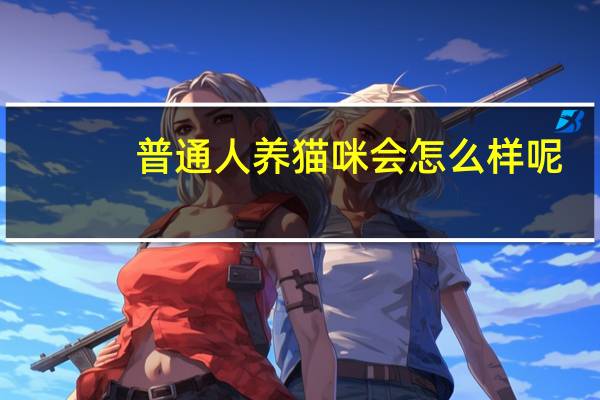 普通人养猫咪会怎么样呢