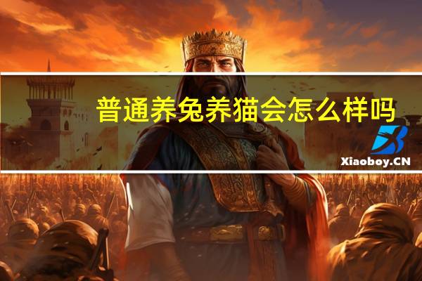普通养兔养猫会怎么样吗