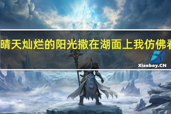 晴天灿烂的阳光撒在湖面上我仿佛看到了