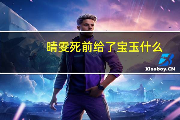 晴雯死前给了宝玉什么