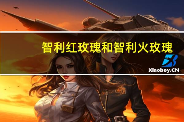 智利红玫瑰和智利火玫瑰(智利火玫瑰有毒吗)
