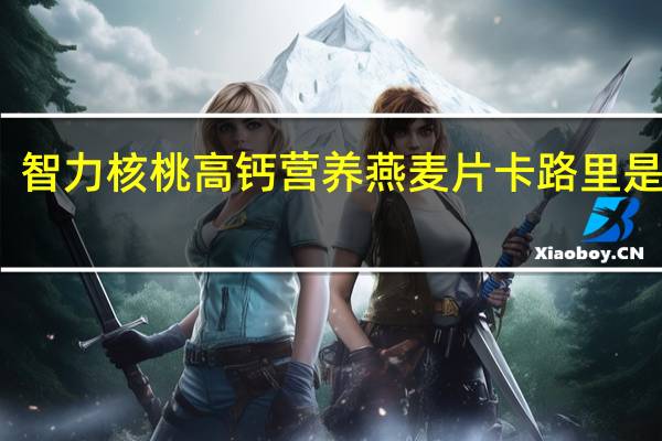 智力 核桃高钙营养燕麦片卡路里是多少