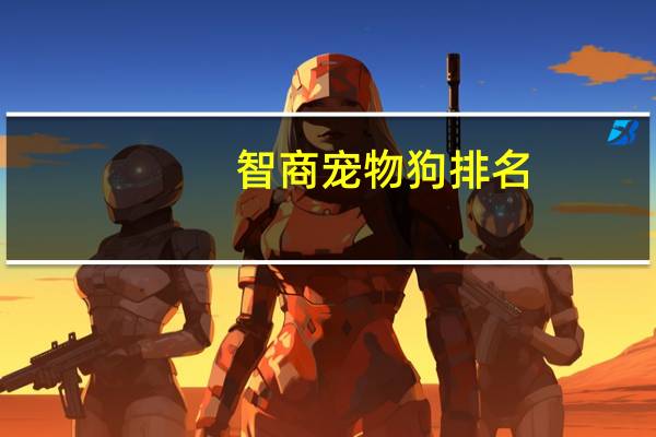 智商宠物狗排名