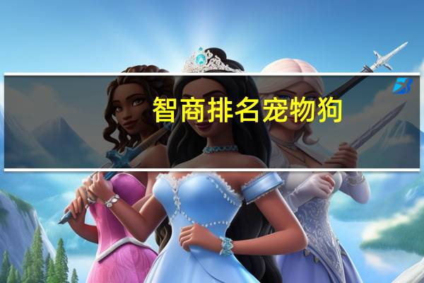 智商排名宠物狗