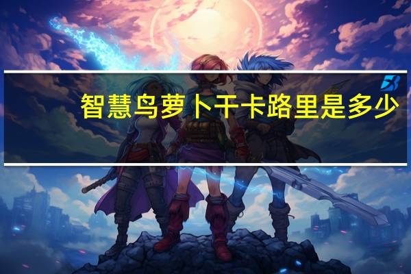 智慧鸟 萝卜干卡路里是多少