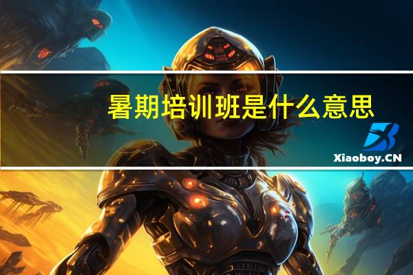 暑期培训班是什么意思