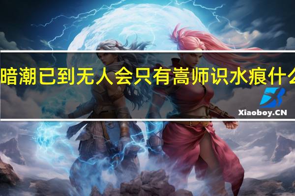 暗潮已到无人会只有嵩师识水痕什么意思