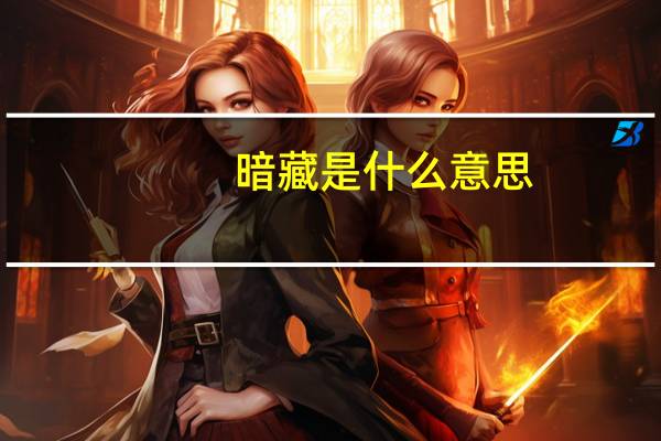 暗藏是什么意思