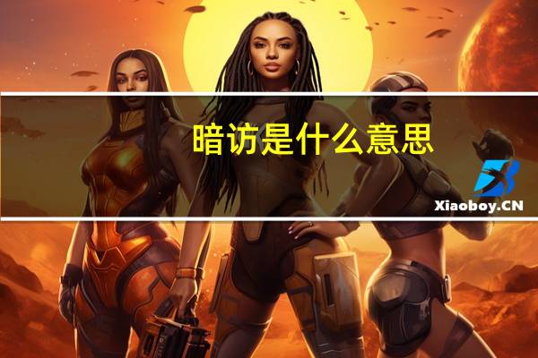 暗访是什么意思