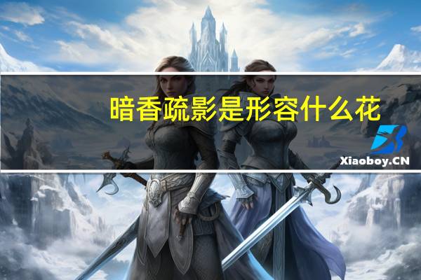 暗香疏影是形容什么花