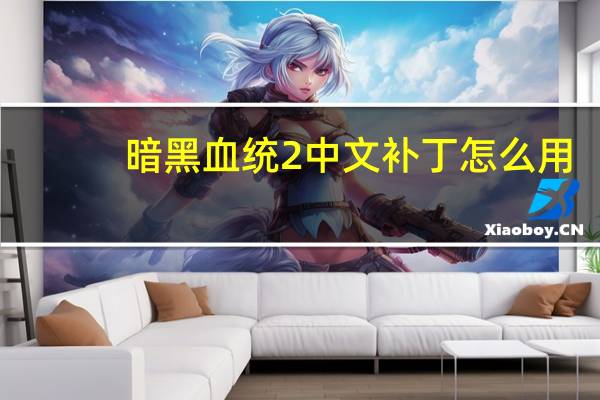 暗黑血统2中文补丁怎么用（暗黑血统2汉化补丁无效解决方法）