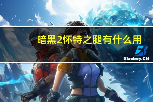 暗黑2怀特之腿有什么用（暗黑2怀特之腿）
